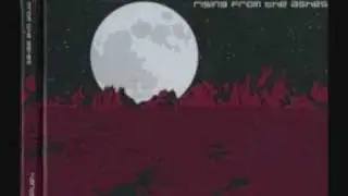 Syntech - RFTA - 10 - Ammut