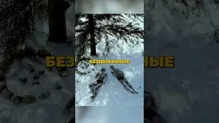 Mysticism in the Dyatlov Pass