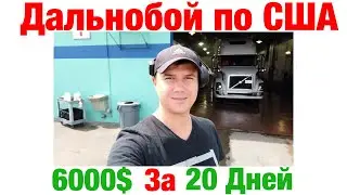 Дальнобой по США (Август #4)