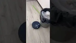 13 мая 2024 г.