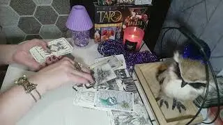💯🤷‍♀️Он в ярости🔥. Что там с ним вообще творится🤷‍♀️💯