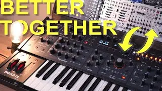 Sequential Pro 3 as a Eurorack brain. Why haven't I been using it this way?