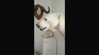 Polar Bear Replica