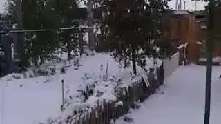 5 октября 2017 г. Первый снег)