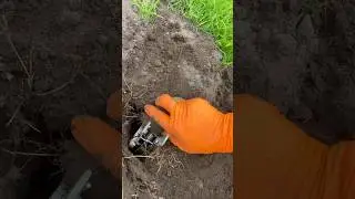 Scissor mole traps - where to put a mole trap and how to find mole tunnels #diy #gardenpests #garden