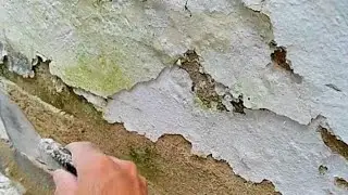 MOISTURE? LOOK AT THIS STEP BY STEP -STEP BY STEP(THE ENDING IS AMAZING)
