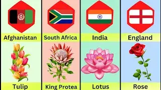 National Flower From Different Countries