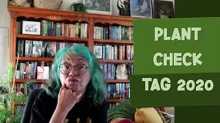 Plant Check 2020 Tag | Reviewing My 2020 Plant Journey