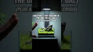 The Perfect Desktop Aquarium 👌🏼