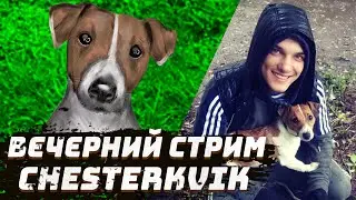 KviK DoG в Эфире  16.03.2024