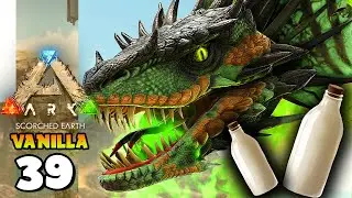 TENSO! ROUBANDO LEITE DE WYVERN NA RAVINA!!! ARK: SCORCHED EARTH (VANILLA) 39