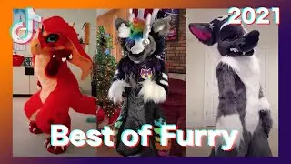 furry Tik Tok ( much Dance ) 2021 #6 thx 4 200 subs !