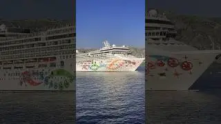 Философия новой страны #montenegro #shorts