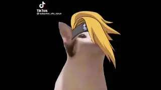 "Как чихают коты из Акацуки"