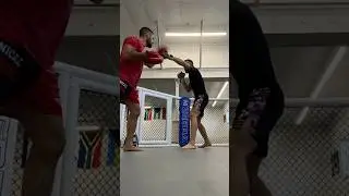Boxing Training! 
