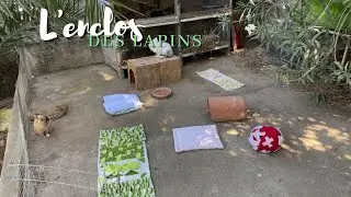 On aménage ensemble le nouvel enclos des lapins
