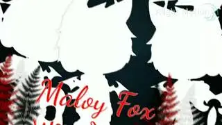 Интро на конкурс Maloy Fox