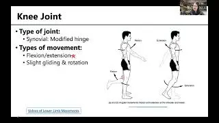 MSK5 JointsHipKnee