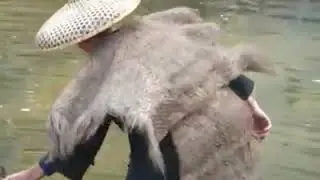 Beynimizin %100'ünü kullanırsak ne olur! Balıkçılıkta kafayı kullanmak.Ördeklerle balıkçılık! 