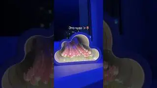 Это чудо!🥰🥹😍 спасибо парню!☺️ #beats #dj #remix #врек