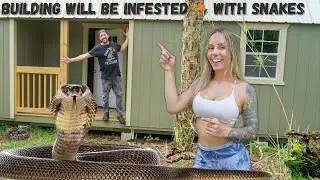 This Building Will Be Infested with Snakes!