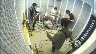 Bestia Bebe en #EstudioB camaronbrujoMúsica