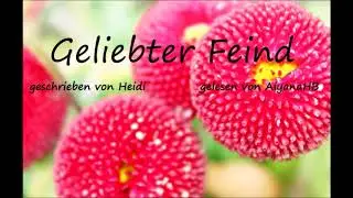 Geliebter Feind - Kapitel 37 (von Heidi, gelesen von AiyanaHB) | ab 16