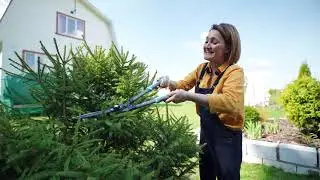 Сад круглый год | Выпуск 5