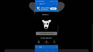 Airdrop da Dogs saiuuuu