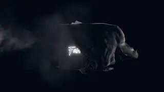 FastLogo - Delicate Unveiling Logo