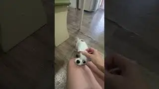 Каждый раз как в первый 😏 #венчикптенчик