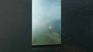#shortvideos