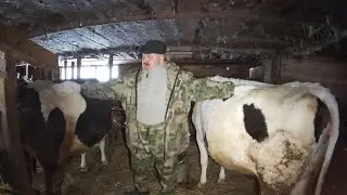 ОБЗОР НАШЕГО ХОЗЯЙСТВА В ДЕРЕВНЕ, МОИ КОРОВКИ 2022
