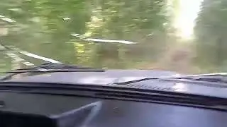 Калды
