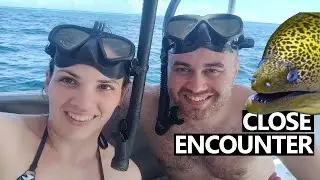 Close encounter with a Moray EEL!! | Snorkling in the Maldives