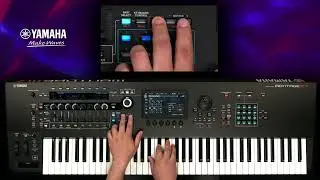 Montage M Tips | How to change the Octave or Transpose setting temporarily