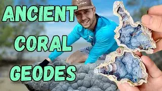 Finding MASSIVE Ancient Agate Coral Geodes: Each has a Colorful Surprise!
