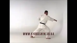 Тренировка ката