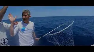 Campeonato de España de curricán de altura 2023