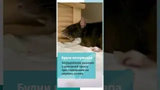Подозрение на опухоль лёгкого