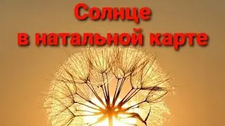 Солнце в знаках Зодиака в натальной карте.