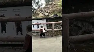Bhalu #bhalu #zoo #darjeeling