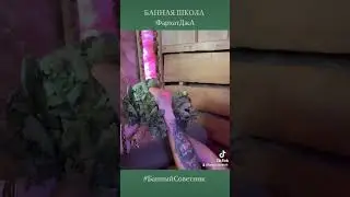 Банная Школа. Что? Как? Где? Когда?