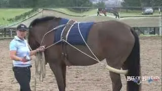 Pessoa Training System with Molly Rosin