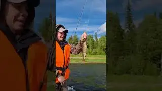 Новичок 2