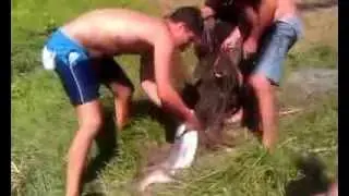 Рыбалка у кума в пруду
