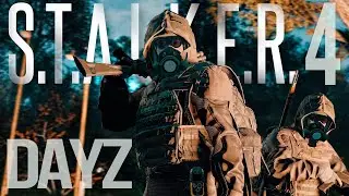 МЕНЯ ВЗЯЛИ В ПАТИ/STALKER PVE DayZ/4 СЕРИЯ