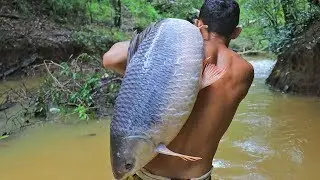 Amazing! Cooking Biggest Fish 26.5kg in Forest Eat to Survival
