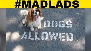 First World Anarchists That Completely Ignore The Rules #MadLads
