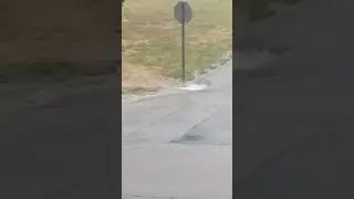 Its a thunderstorm!